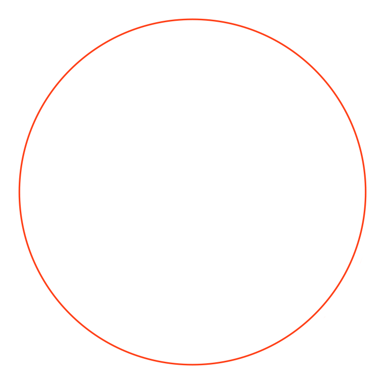 orange circle 1