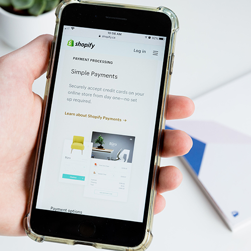 shopify development agency delhi